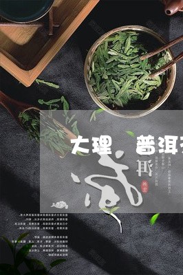 大理 普洱茶/2023042889958